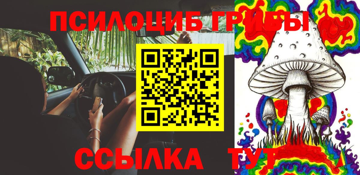 Галлюциногенные грибы мухоморы  закладки  Донской  Вход с VPN 